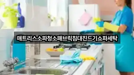 인기 강원특별자치도 춘천시 약사동 청소 5곳 모아보기