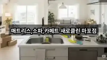 빠른 지도열기: 서울특별시 마포구 구수동 청소업체 4곳