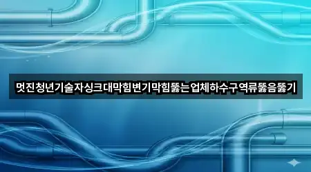 멋진청년기술자싱크대막힘변기막힘뚫는업체하수구역류뚫음뚫기