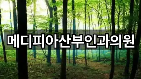 메디피아산부인과의원