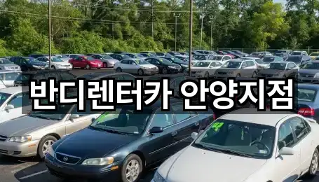 경기 안양시 동안구 렌트카 가까운 순위 5곳
