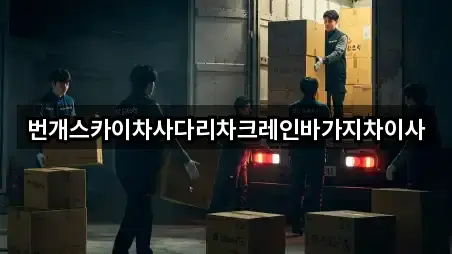 번개스카이차사다리차크레인바가지차이사