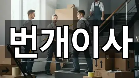 번개이사