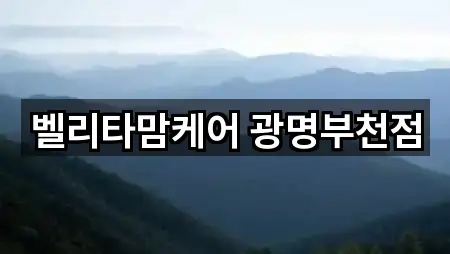 벨리타맘케어 광명부천점