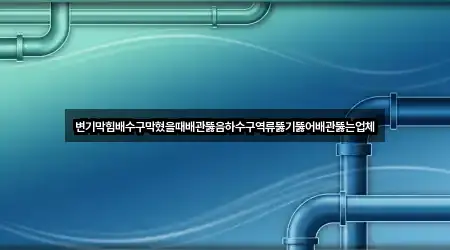 변기막힘배수구막혔을때배관뚫음하수구역류뚫기뚫어배관뚫는업체