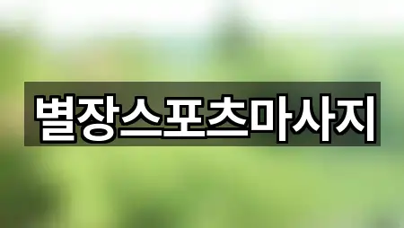 별장스포츠마사지