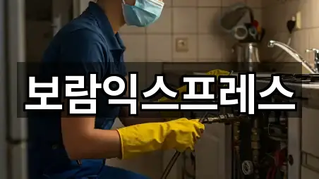 보람익스프레스