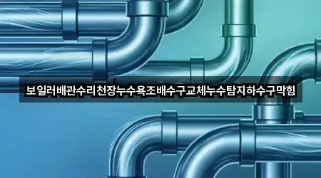 보일러배관수리천장누수욕조배수구교체누수탐지하수구막힘