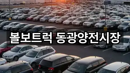 전라남도 광양시 진상면 자동차전시장 1곳 원스톱 보기