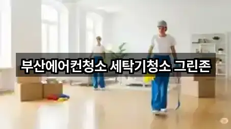 초간편 조회: 부산 기장군 정관읍 청소업체 5곳