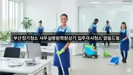 주소 브리핑: 부산 사하구 괴정동이사 5곳