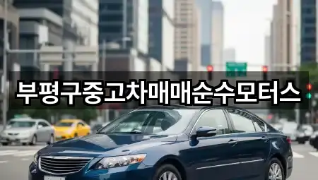 즉시 주소: 인천 부평구 부개동 중고차 5곳