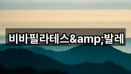 비바필라테스&발레