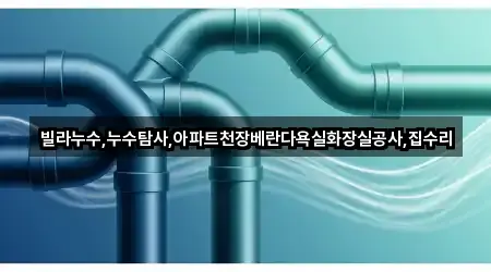 빌라누수,누수탐사,아파트천장베란다욕실화장실공사,집수리