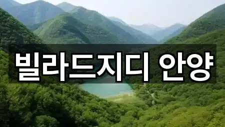 빌라드지디 안양