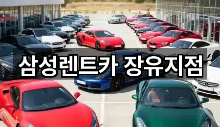 삼성렌트카 장유지점
