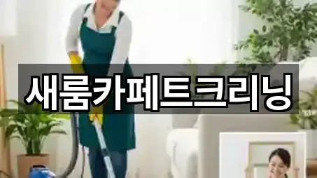 새룸카페트크리닝