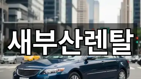 지금 뜨는: 부산 동래구 명륜동 렌트카 5곳