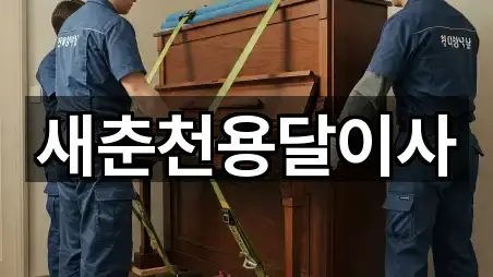 원페이지: 강원 중앙로1가용달이사 5곳