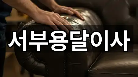 경기 주교동 용달이사 상세 정보 5건