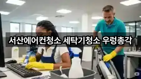 충남 서산시 청소 많이 찾는 5곳