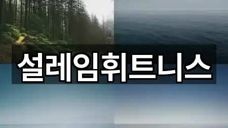 경기 정왕동 필라테스 견적문의 5곳