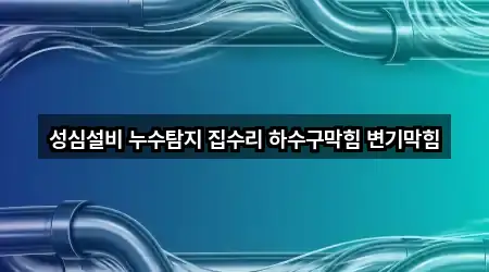 성심설비 누수탐지 집수리 하수구막힘 변기막힘
