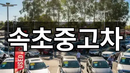 위치 브리핑: 강원특별자치도 도문동 중고차 5곳