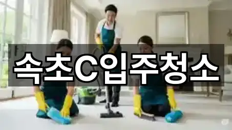 속초 조양동청소 5곳 주소 카탈로그