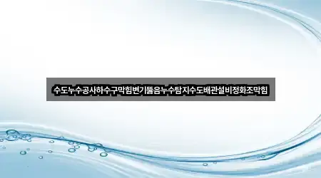 수도누수공사하수구막힘변기뚫음누수탐지수도배관설비정화조막힘