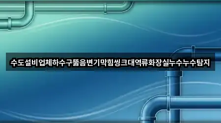 수도설비업체하수구뚫음변기막힘씽크대역류화장실누수누수탐지