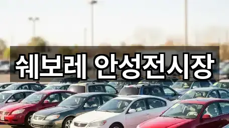 바로 비교: 경기 안성시 봉남동 자동차전시장 1곳
