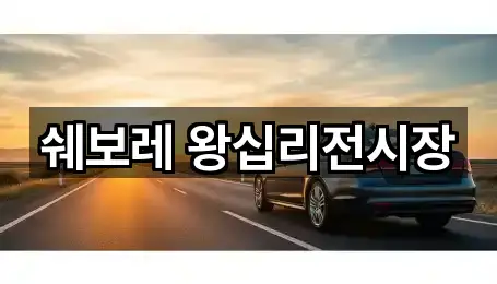 쉐보레 왕십리전시장