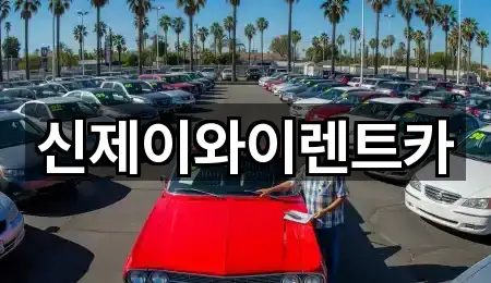 바로 한눈에: 대구 월암동 렌트카 5곳