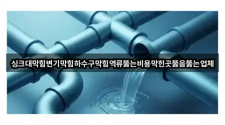 싱크대막힘변기막힘하수구막힘역류뚫는비용막힌곳뚫음뚫는업체