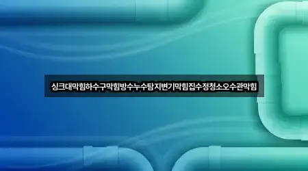 싱크대막힘하수구막힘방수누수탐지변기막힘집수정청소오수관막힘