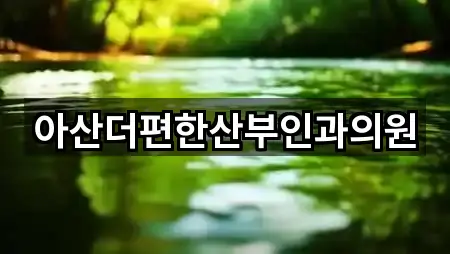 경기도 호평동 산부인과 바로 보기 5곳