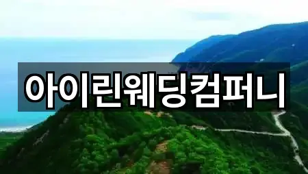 대전 서구 둔산동 웨딩박람회 구글지도 5곳