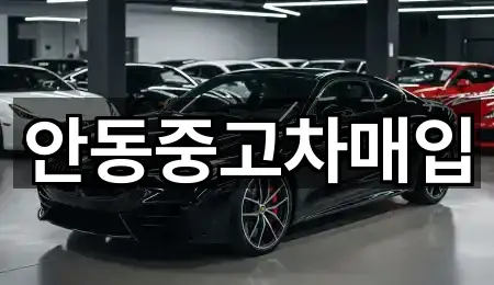 안동중고차매입