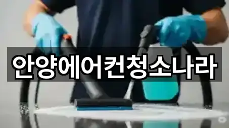 초보자 가이드: 경기 안양 동안구 비산동 청소업체 5곳