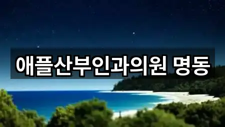 애플산부인과의원 명동