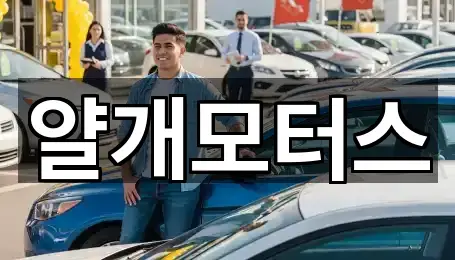 고양 정발산동 중고차 상세 정보 5건
