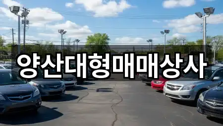 경남 양산시 동면 중고차 찾기 쉬운 5곳