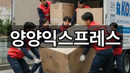 강원특별자치도 손양면 이사 영업정보 5곳