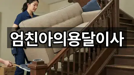 엄친아의용달이사