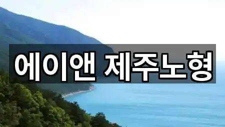 에이앤 제주노형