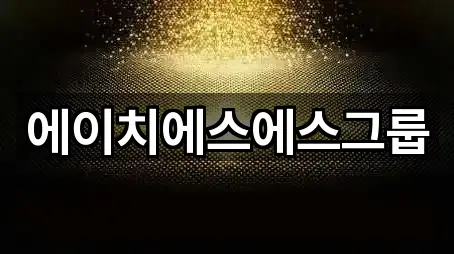 에이치에스에스그룹