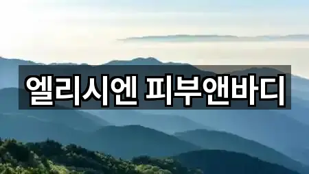 요약 | 용산구 신계동 에스테틱 5곳