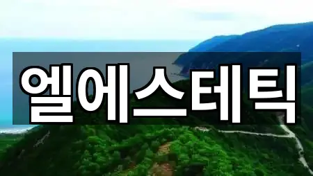 삼천동 에스테틱 5곳 지도 확인