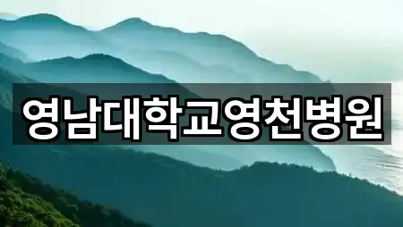 2곳 경북 영천시 도동 산부인과 거리순